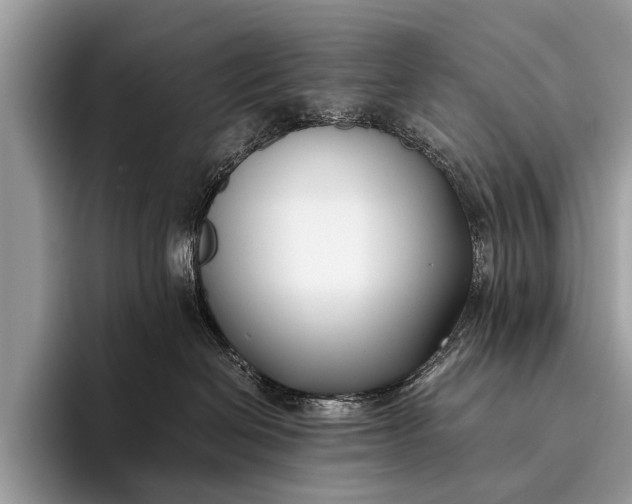 X0000095910286200801251016