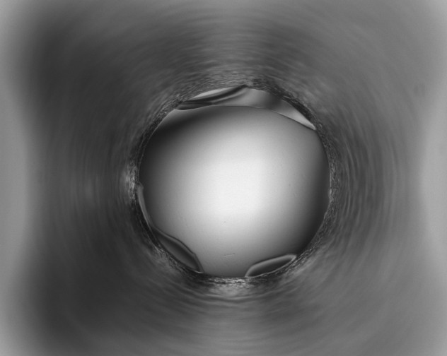 X0000095910288200801251016