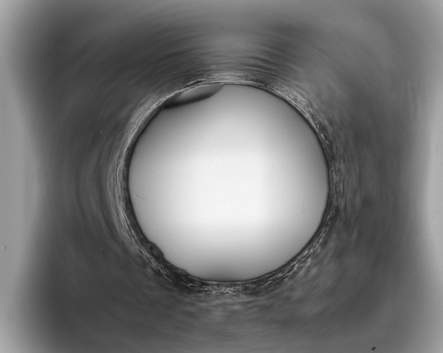 X0000095910289200801251015