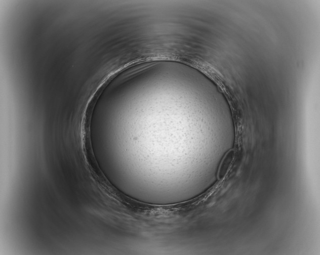 X0000095910290200801251015