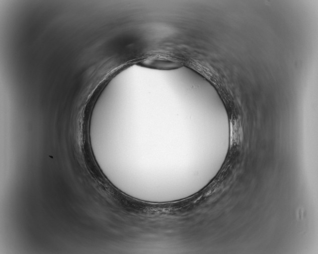 X0000095910291200801251015