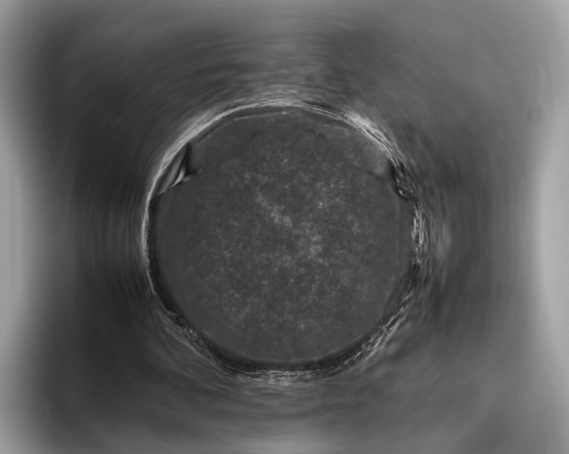 X0000095910292200801251015