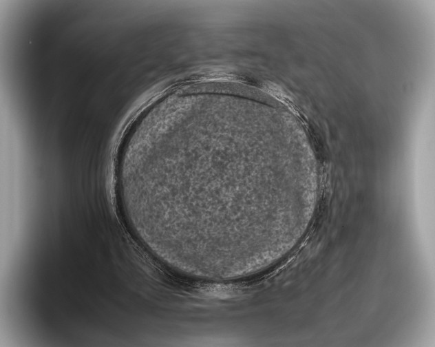 X0000095910293200801251015