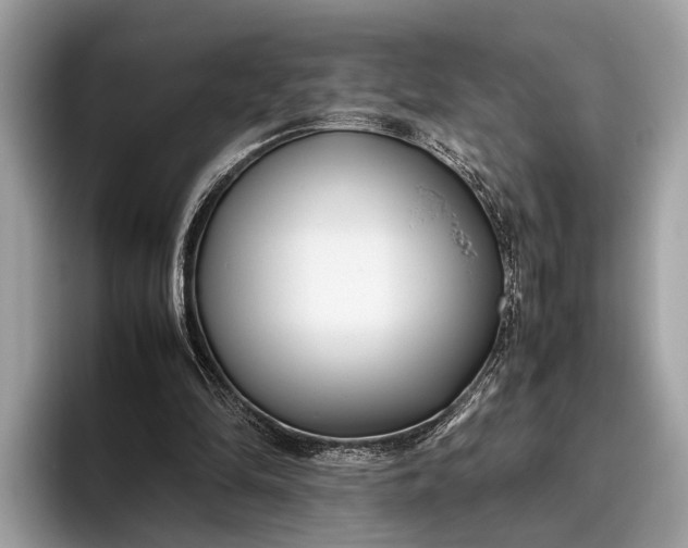 X0000095910294200801251015