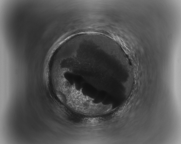 X0000095910295200801251015