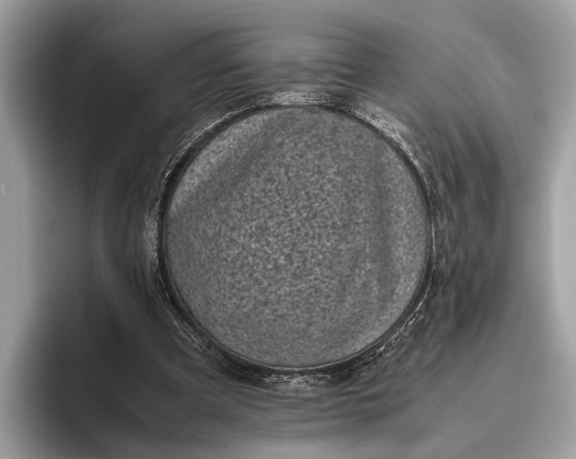 X0000095910297200801251015