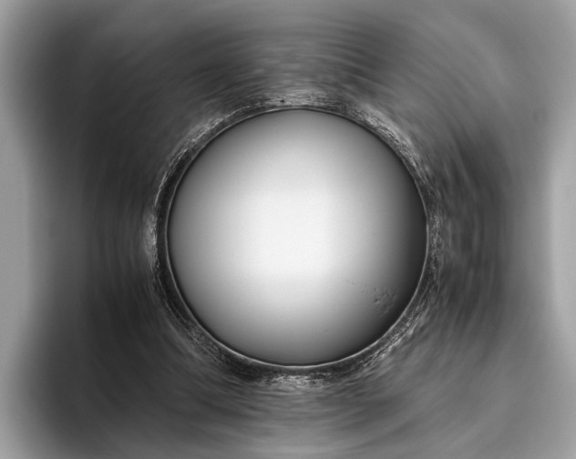 X0000095910298200801251015