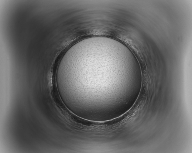 X0000095910299200801251015