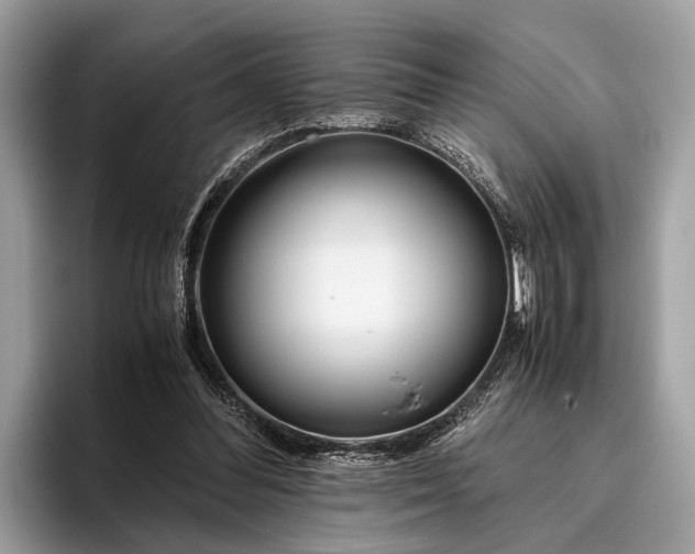 X0000095910300200801251015