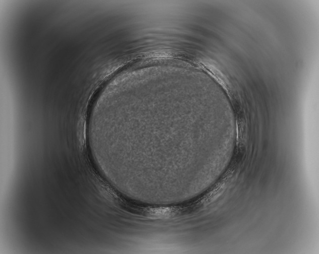 X0000095910301200801251015