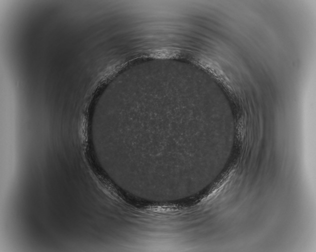 X0000095910303200801251015