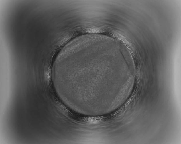 X0000095910305200801251015