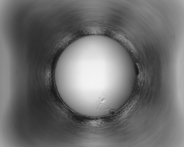 X0000095910306200801251015