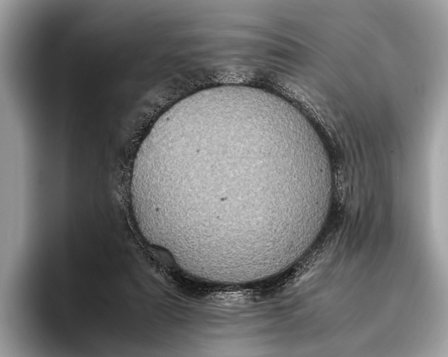 X0000095910307200801251015