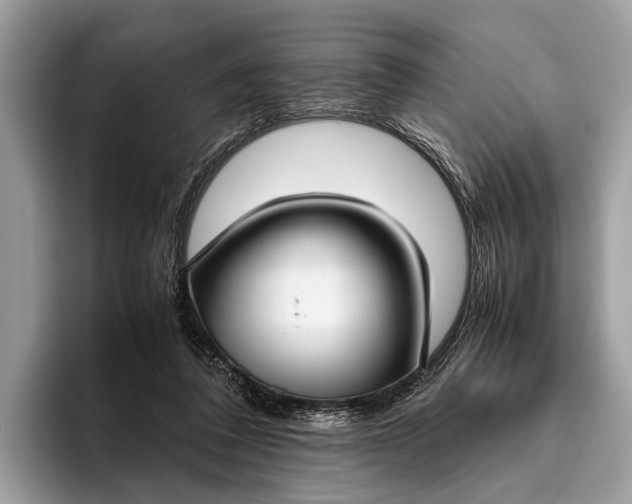 X0000095910308200801251015