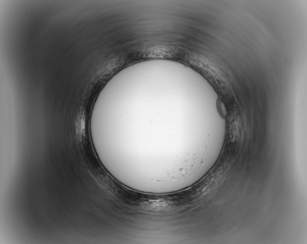 X0000095910310200801251015