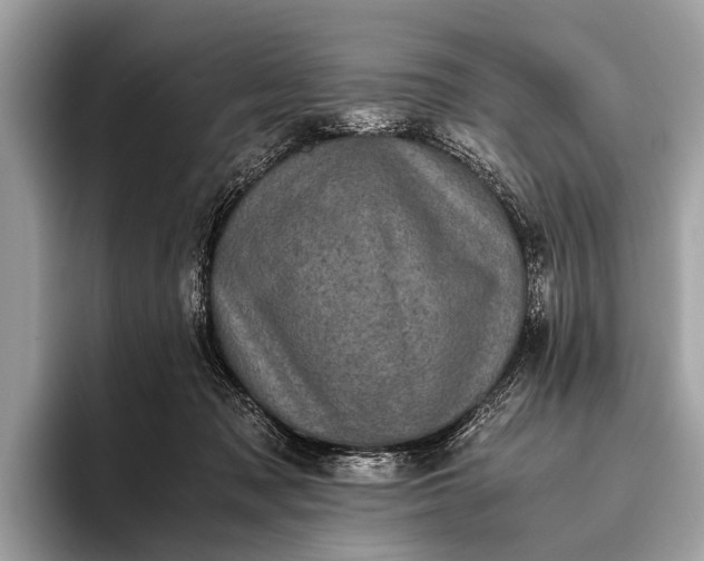 X0000095910317200801251015