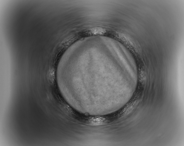 X0000095910321200801251015