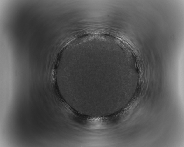 X0000095910325200801251015