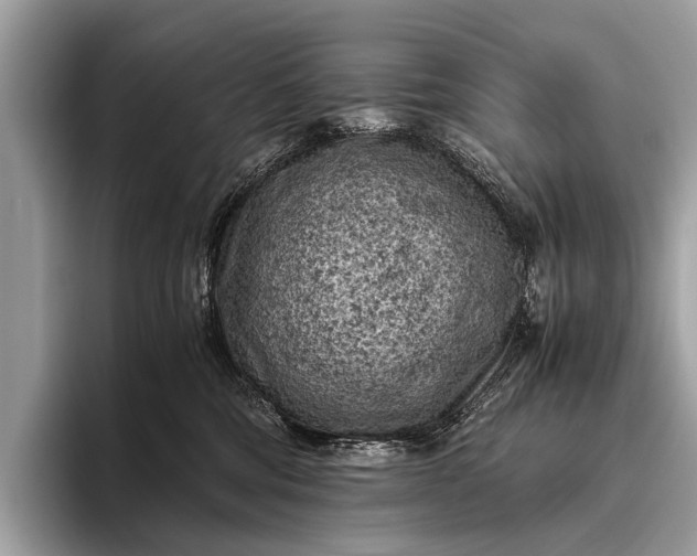 X0000095910330200801251015