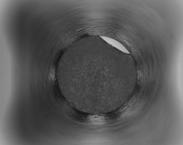 X0000095910331200801251015