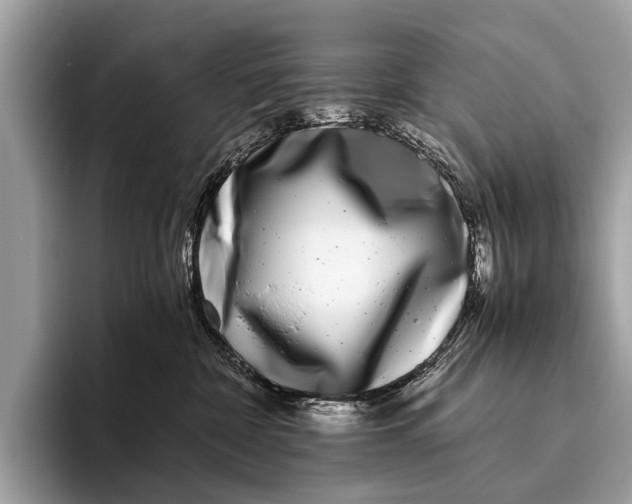 X0000095910332200801251015