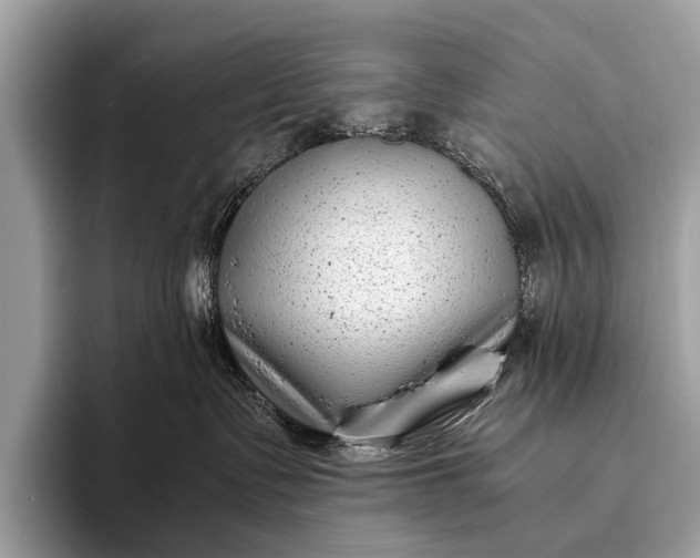 X0000095910335200801251015