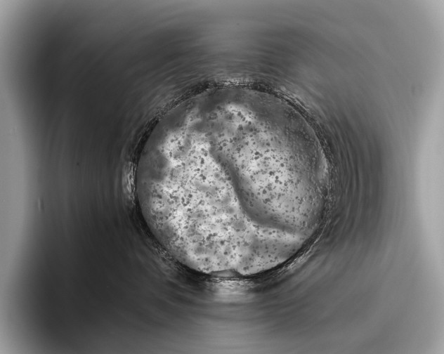 X0000095910336200801251015