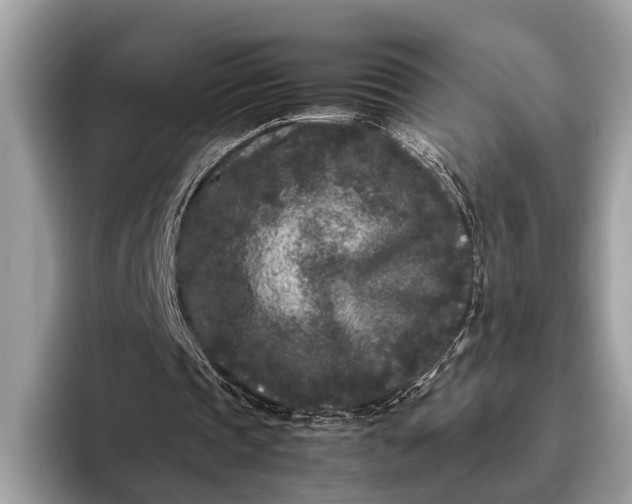 X0000095910337200801251014