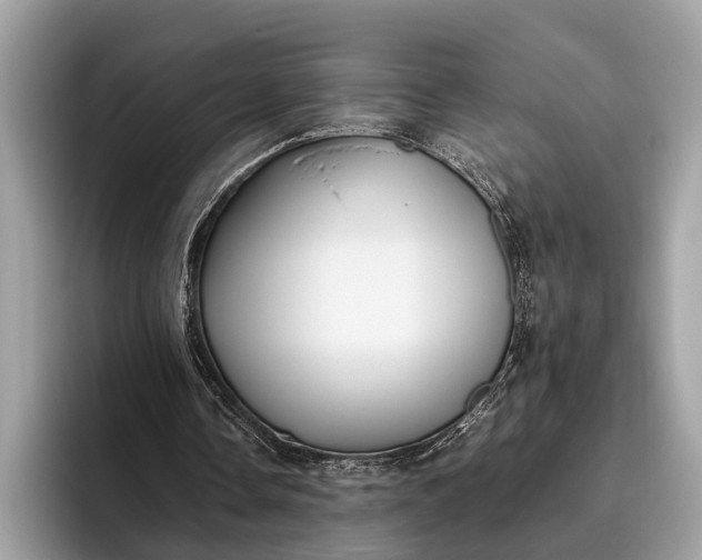 X0000095910338200801251014