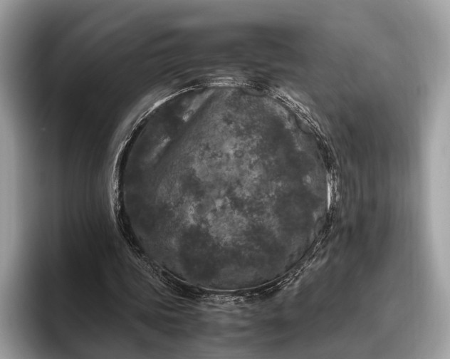 X0000095910339200801251014