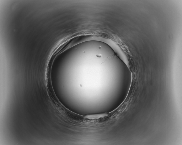 X0000095910340200801251014