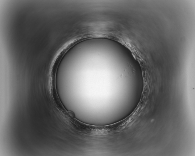 X0000095910342200801251014