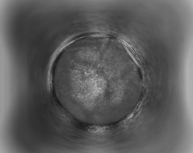 X0000095910343200801251014