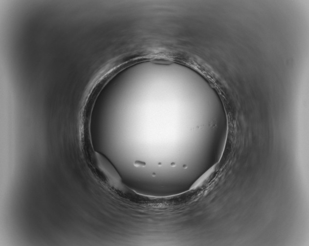 X0000095910344200801251014