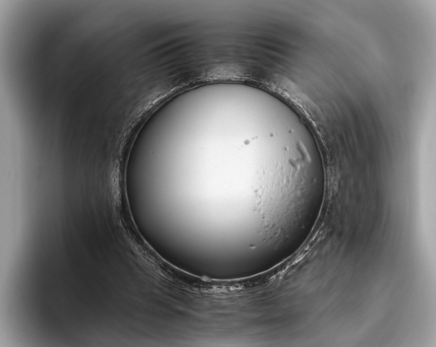 X0000095910345200801251014