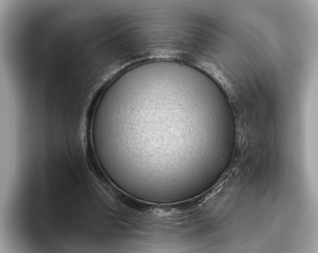 X0000095910346200801251014