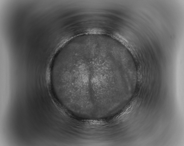 X0000095910347200801251014