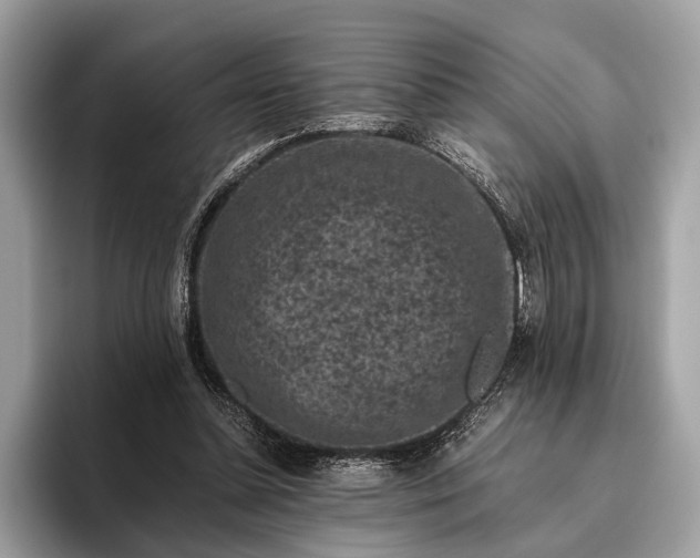 X0000095910348200801251014