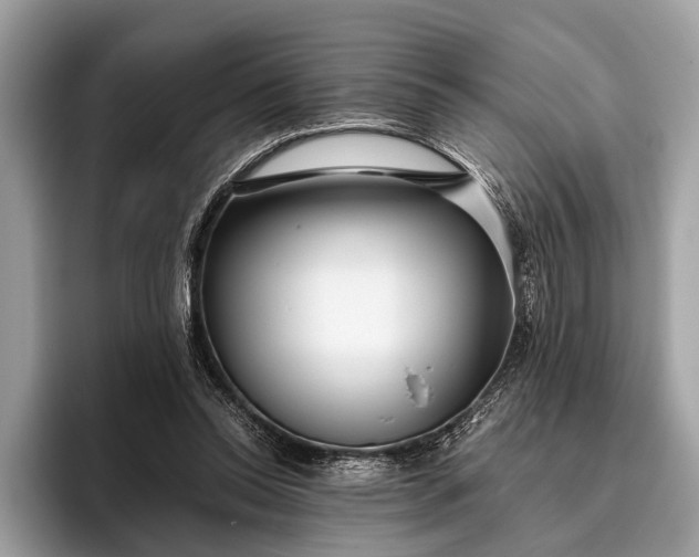 X0000095910350200801251014