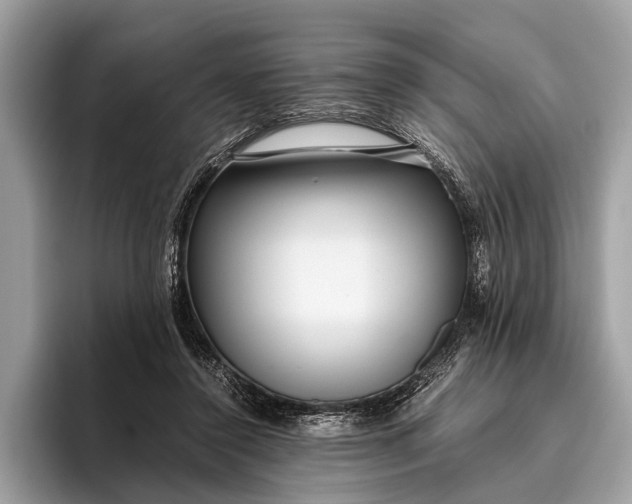 X0000095910356200801251014