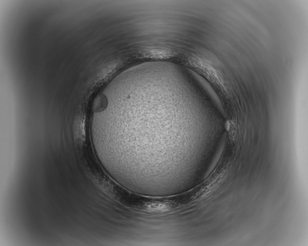 X0000095910358200801251014