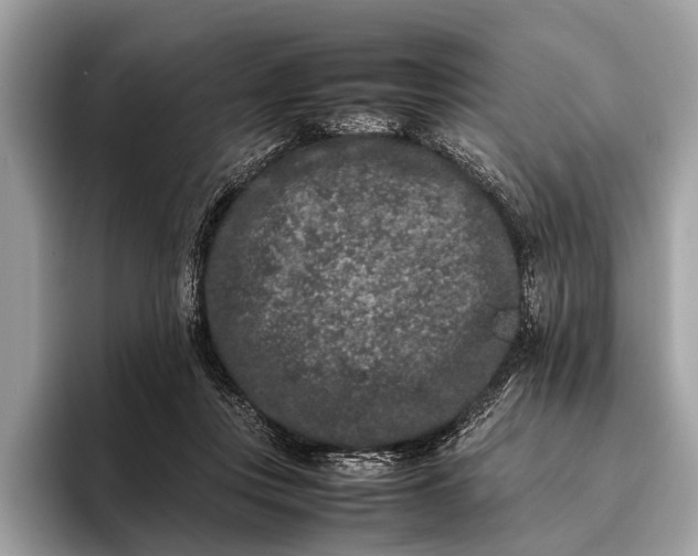 X0000095910359200801251014