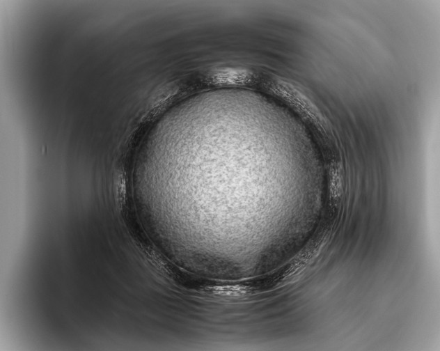 X0000095910363200801251014