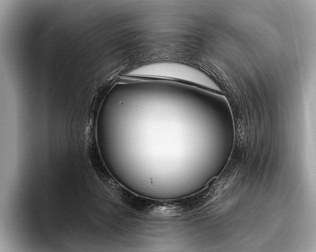 X0000095910364200801251014