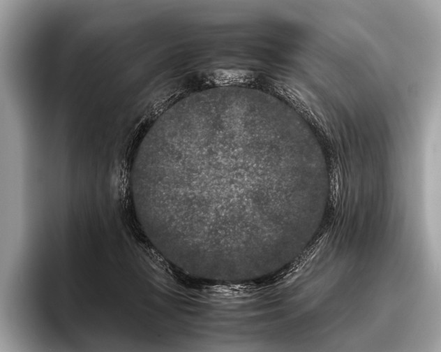 X0000095910367200801251014