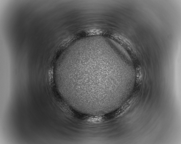 X0000095910369200801251014