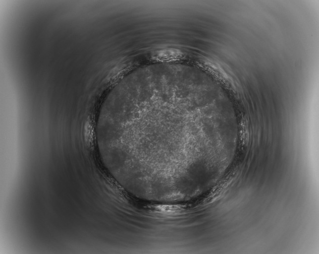 X0000095910371200801251014