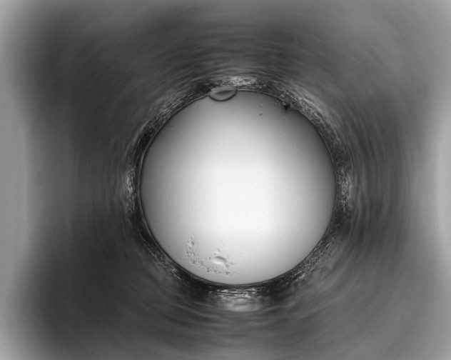 X0000095910373200801251014