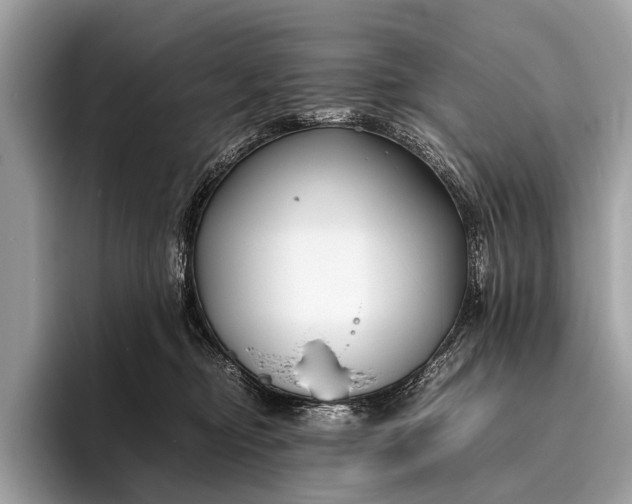 X0000095910374200801251015